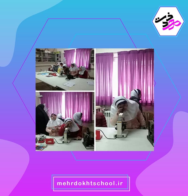 دبستان مهردخت ترنج طبرستان